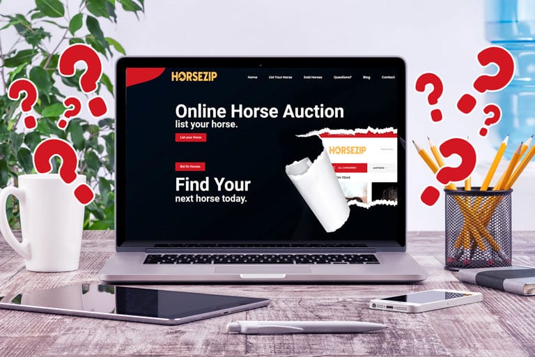 horse auction
